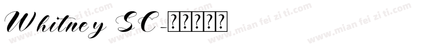Whitney SC字体转换